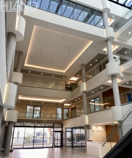 השכרת משרדים להשכרה תלפיות