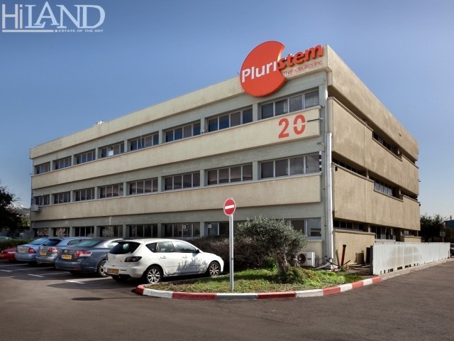 משרדים ומדעי החיים בחיפה