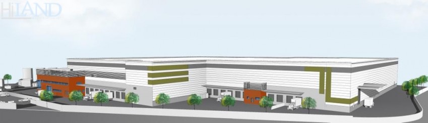 מרלו״ג להשכרה