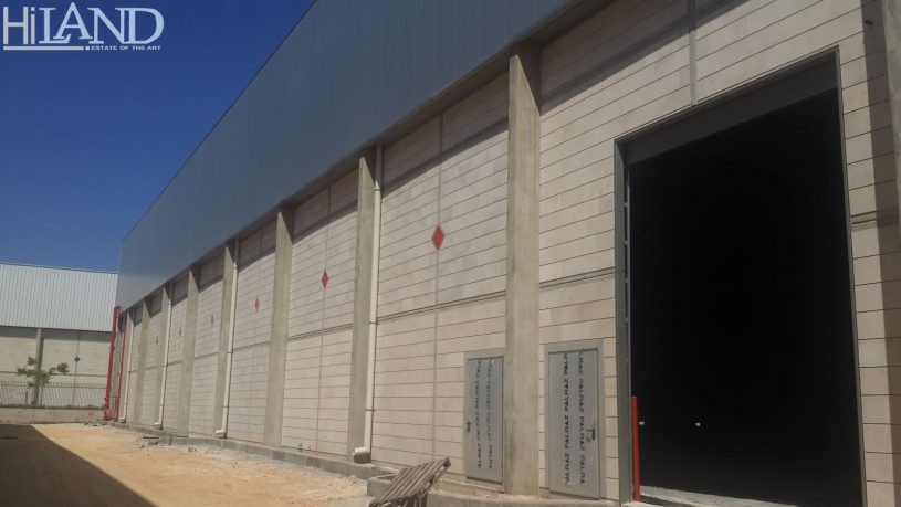 מרלוג בטירת הכרמל