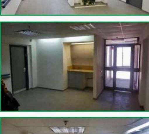 נכס מניב בחיפה