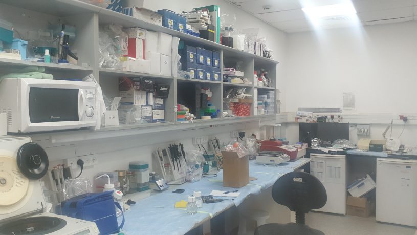 מעבדות רחובות