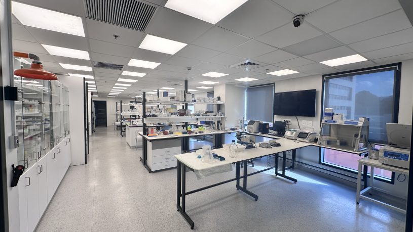 מעבדות משרדים ברחובות